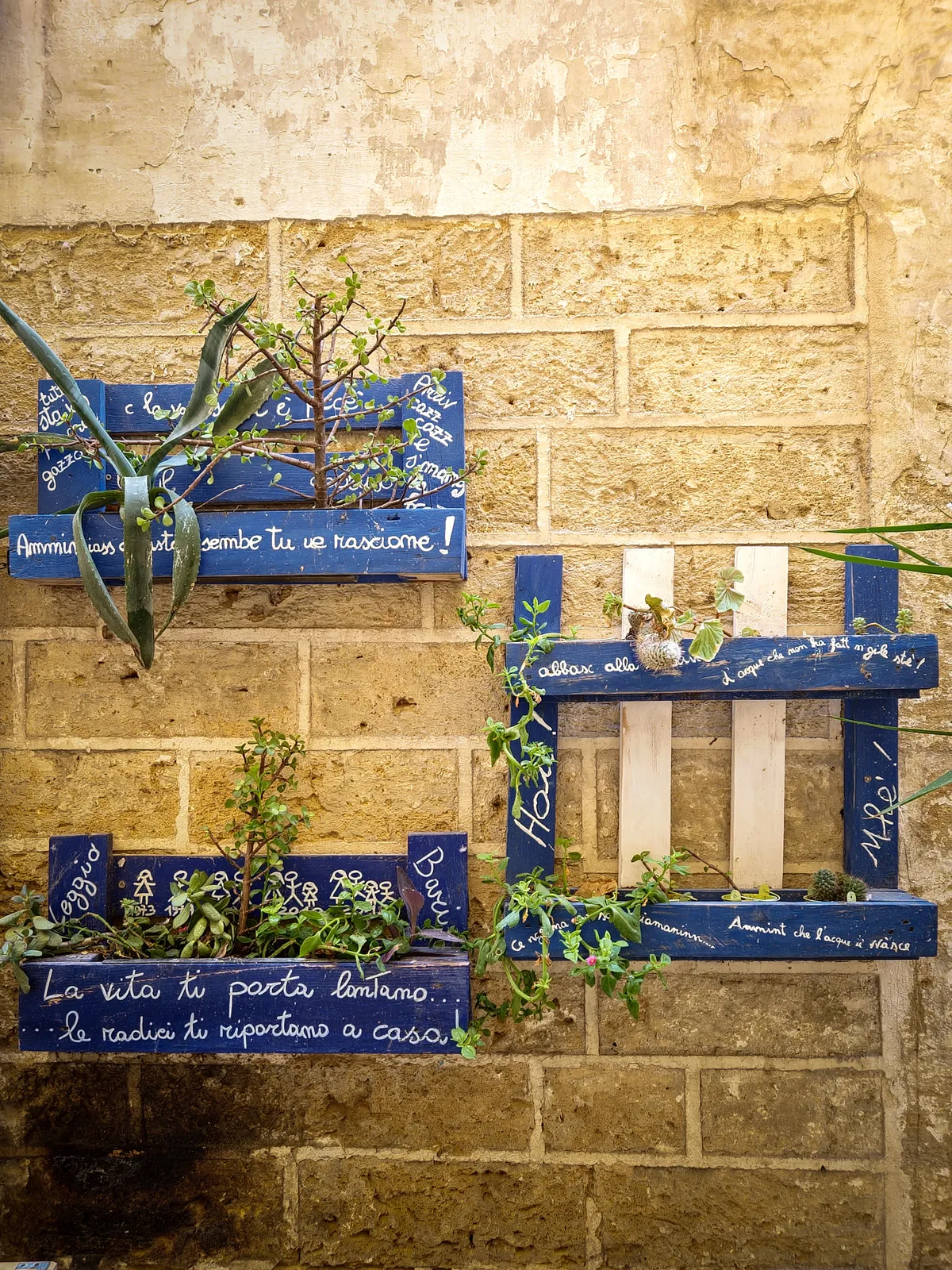 Barese Whispers — Bari — Italy