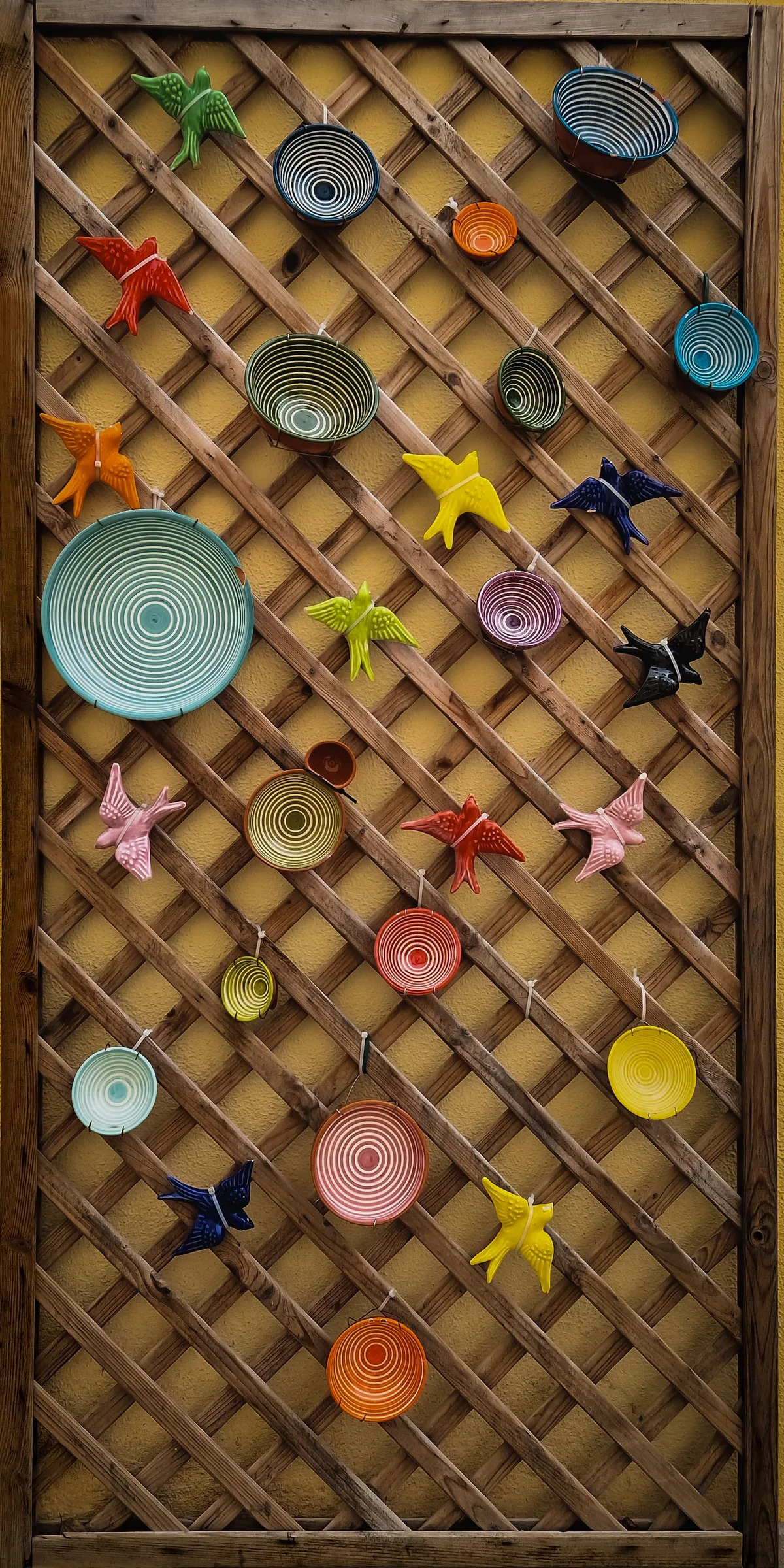 Birds and Bowls — Lisboa — Portugal