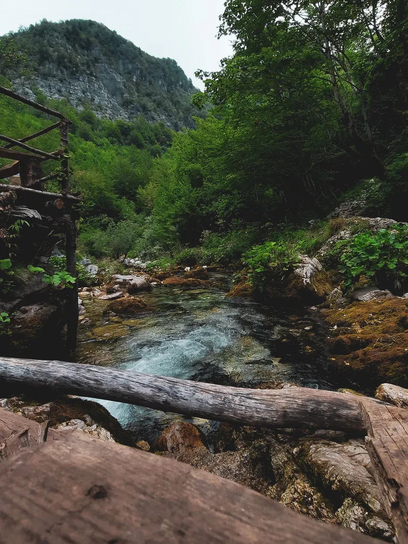Canyon Creek