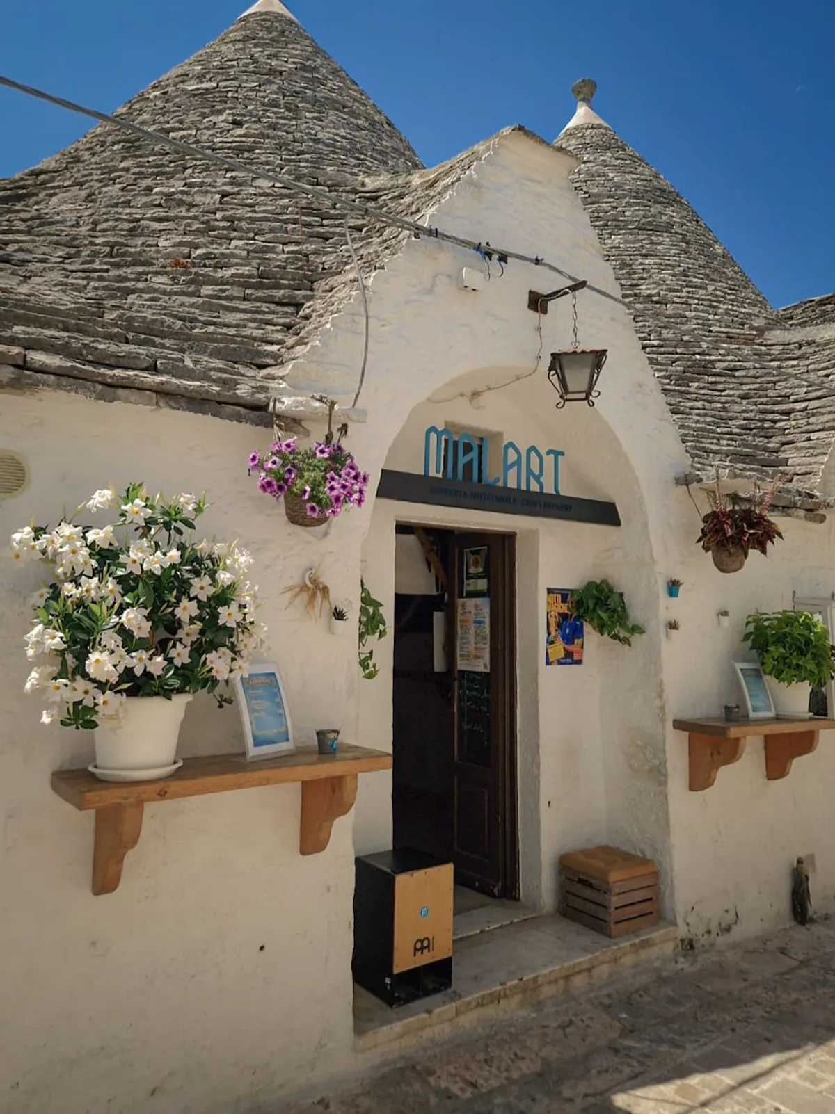 Flowers at the Trullo Door — Alberobello — Italy