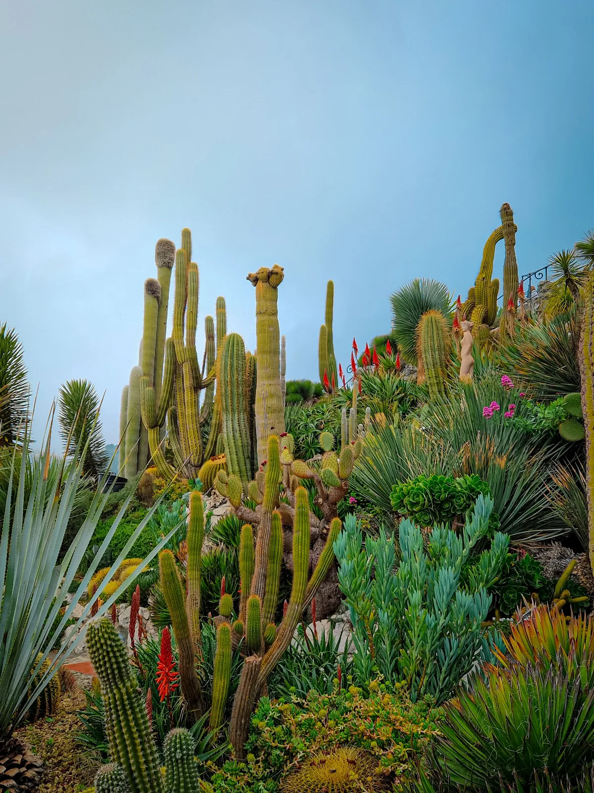 Jardin des Cactus — Èze — France