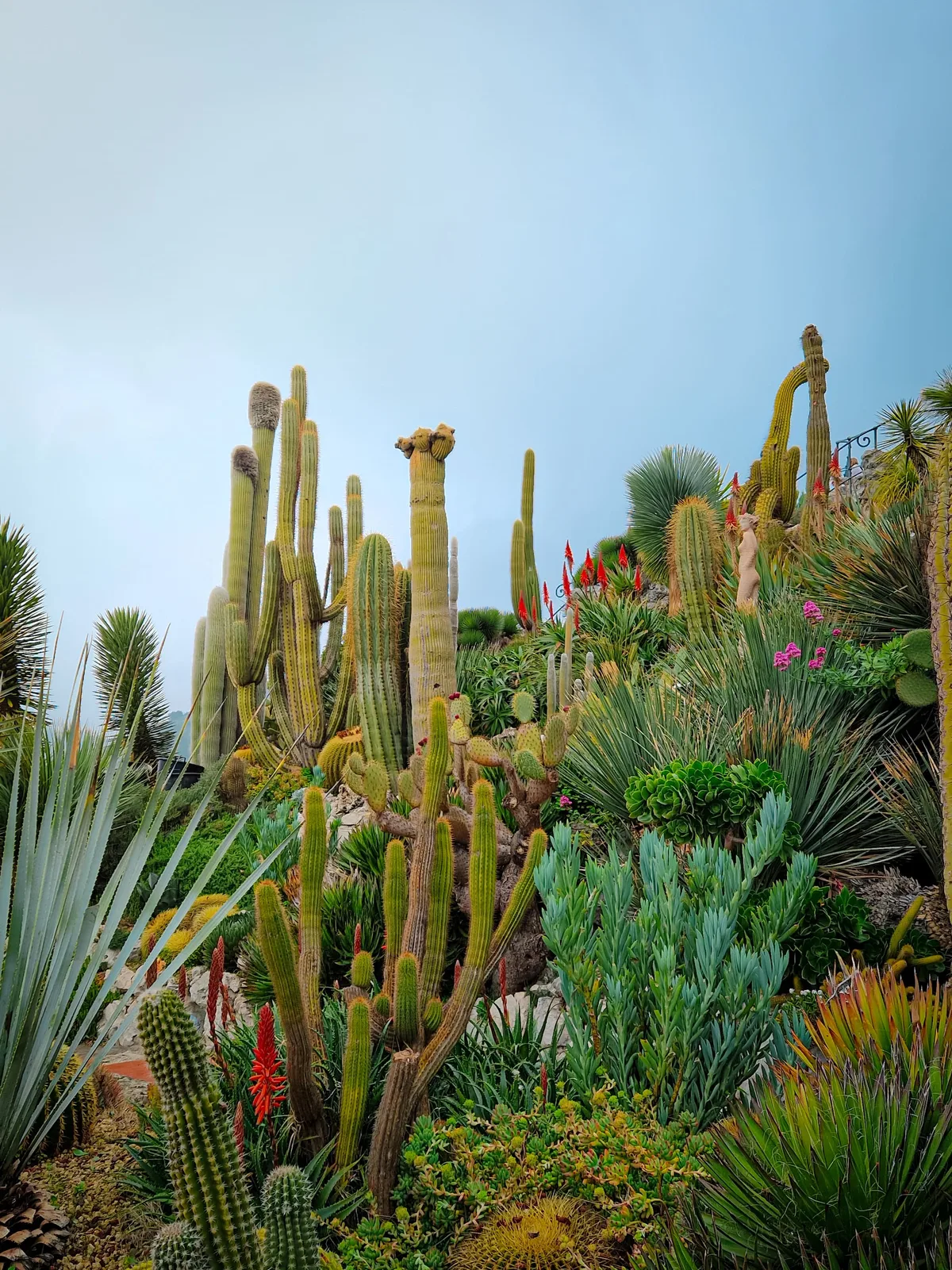 Jardin des Cactus — Èze — France