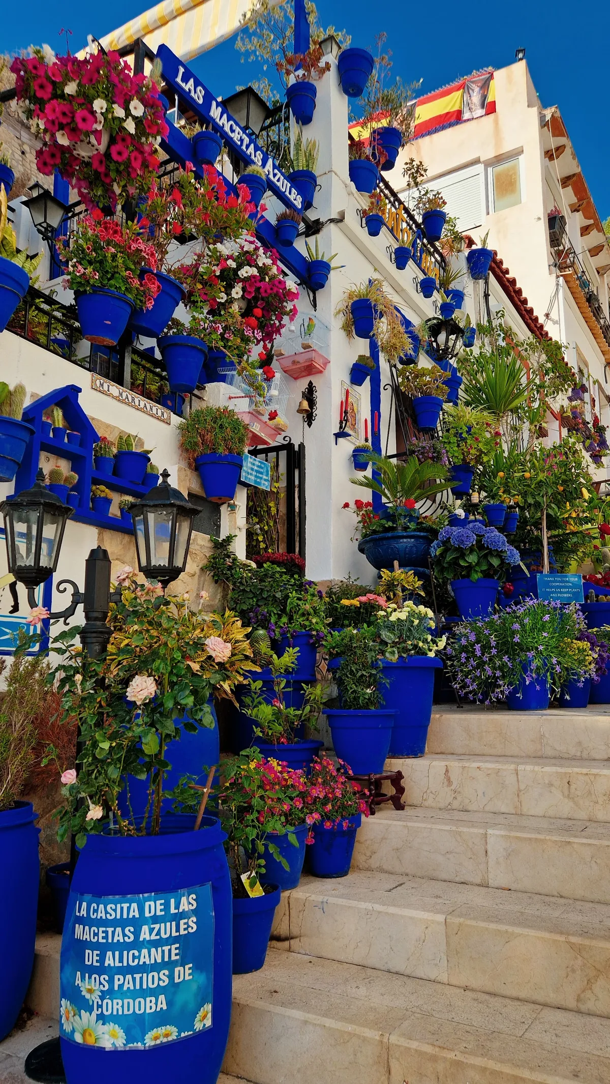 Las Macetas Azules — Alicante — Spain