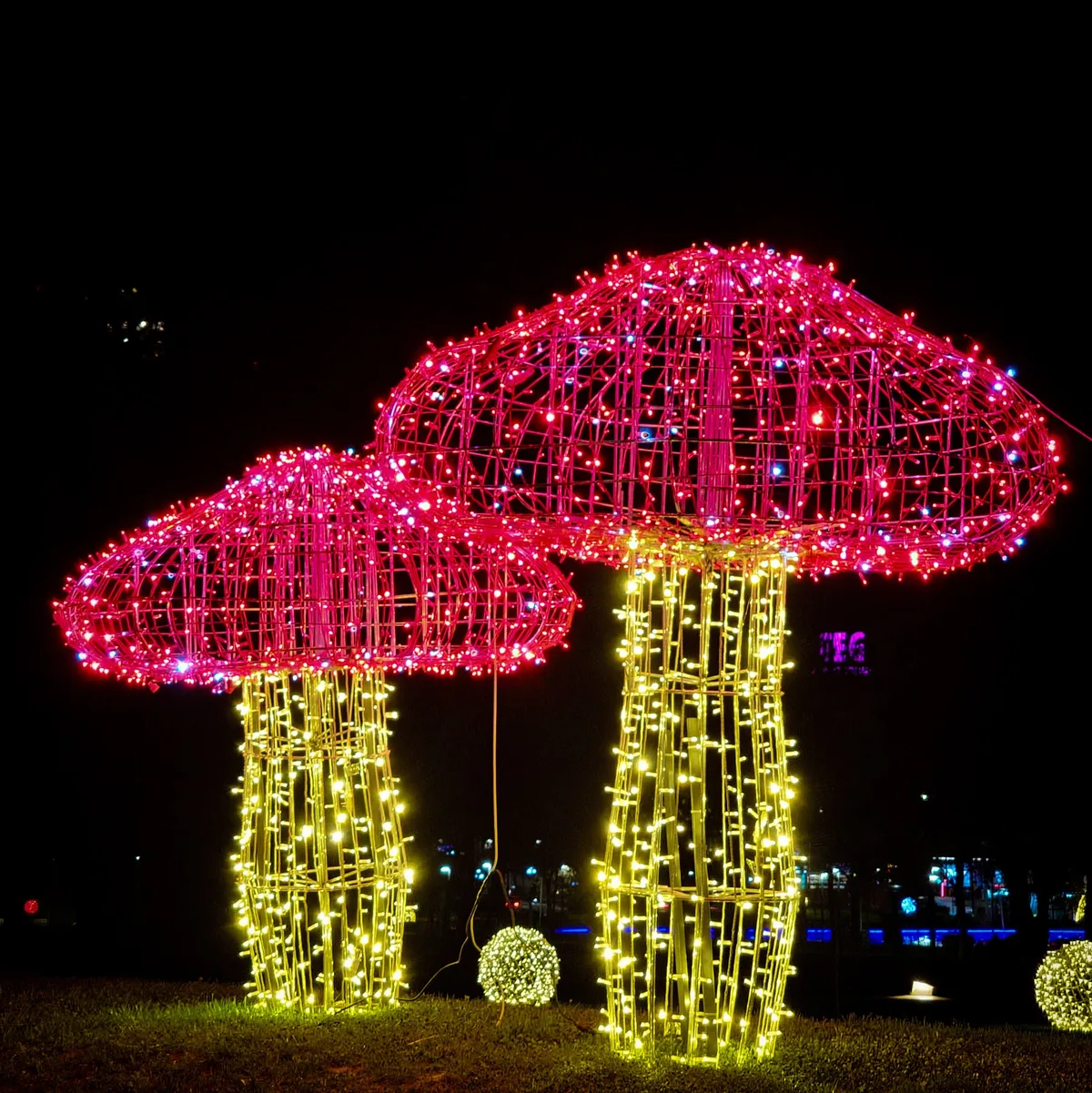 Neon Mushroom Garden — Tirana — Albania