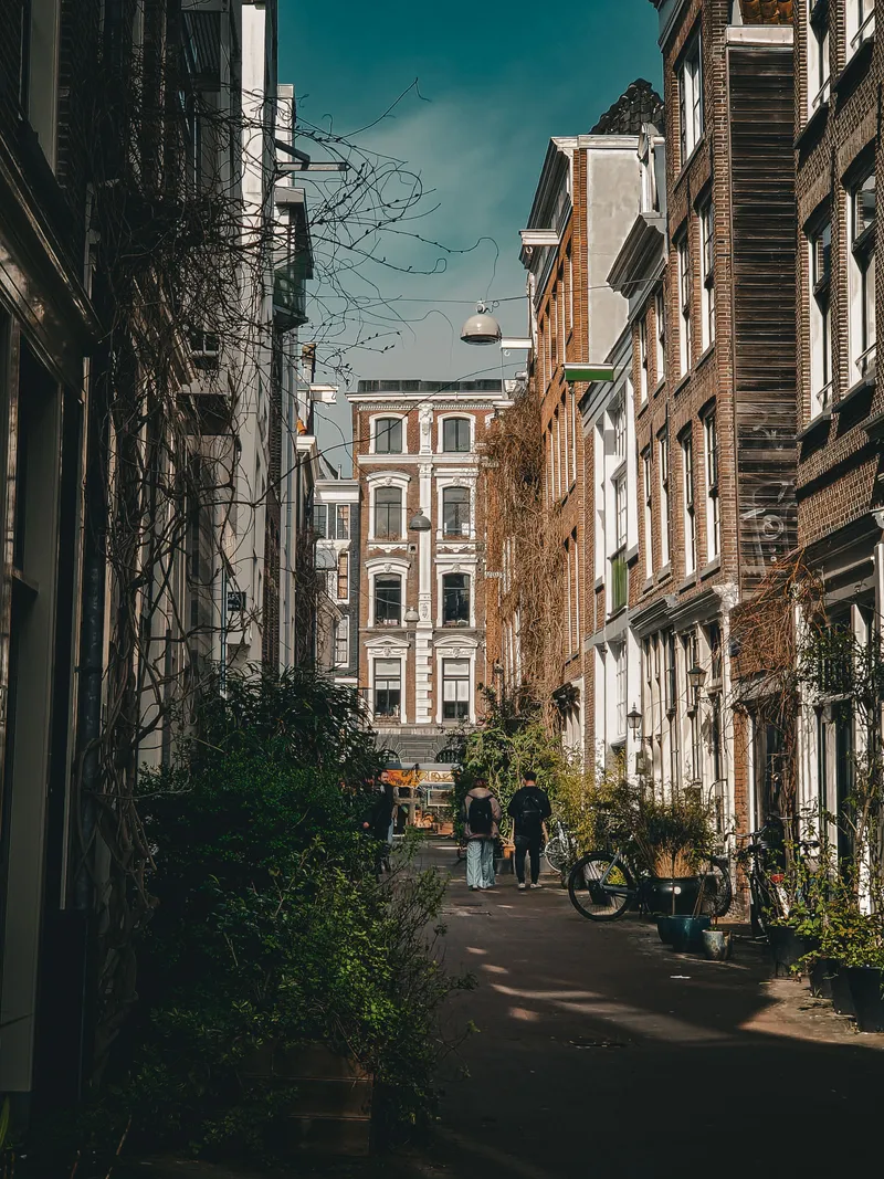 Street Scene