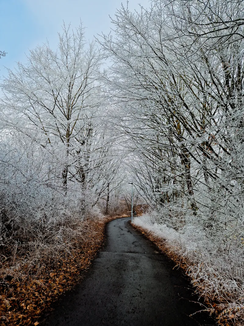 The Frost Corridor