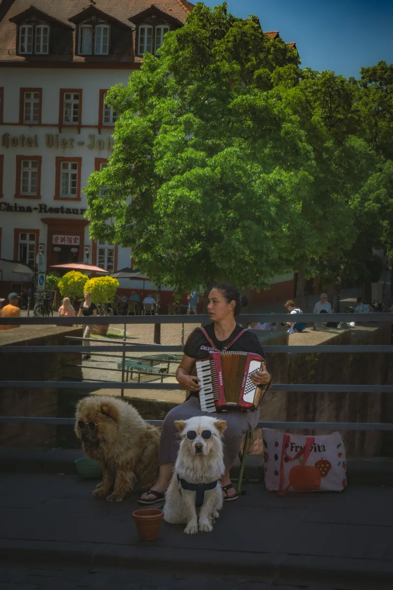 The Accordion Player
