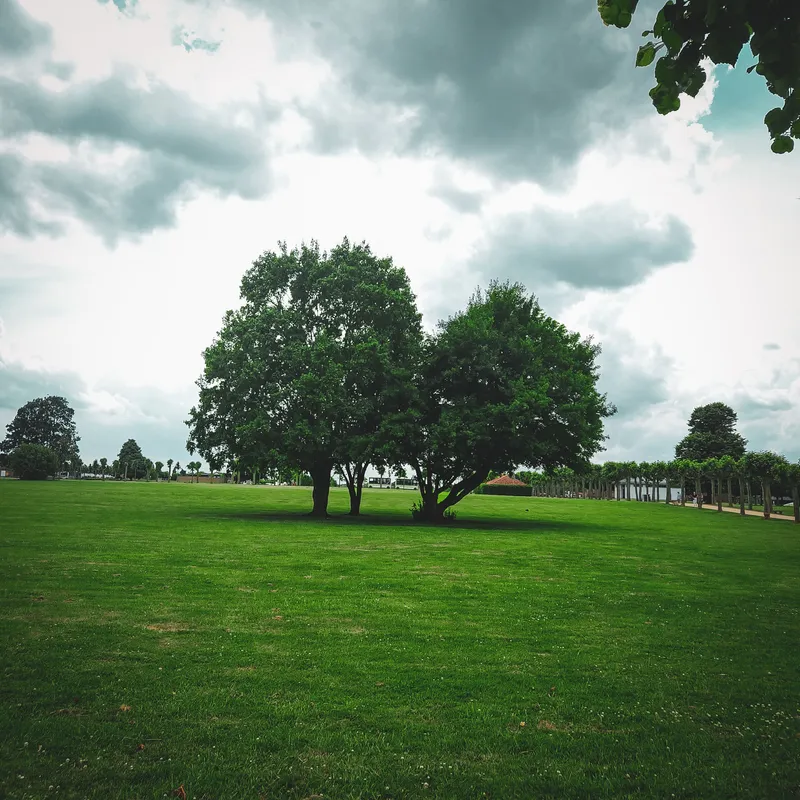 Storm Canopy