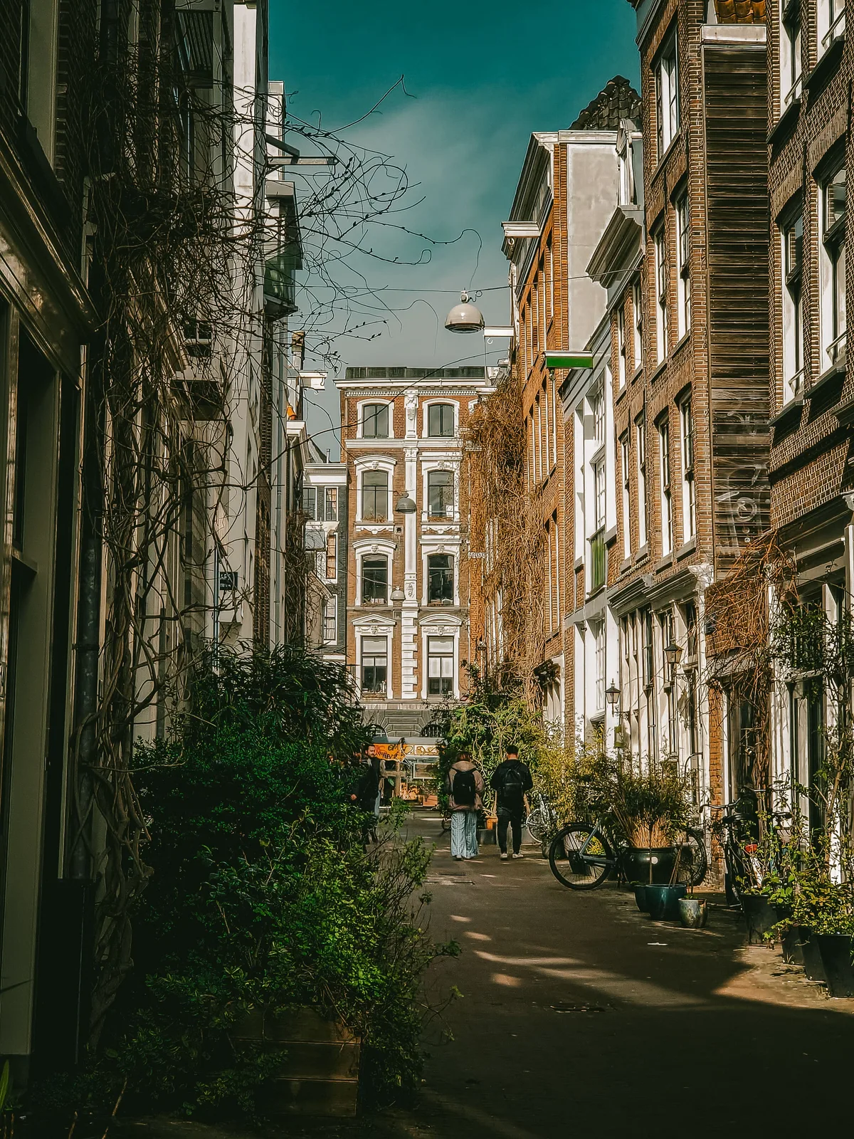 Street Scene — Amsterdam — Netherlands
