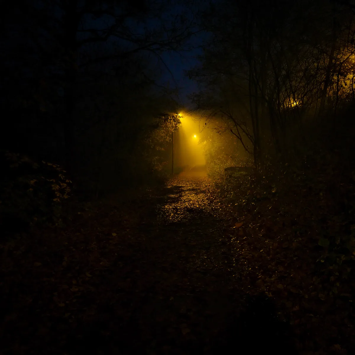 The Amber Passage — Ulm — Germany