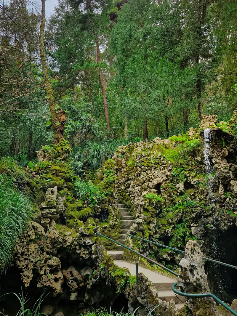 The Enchanted Garden