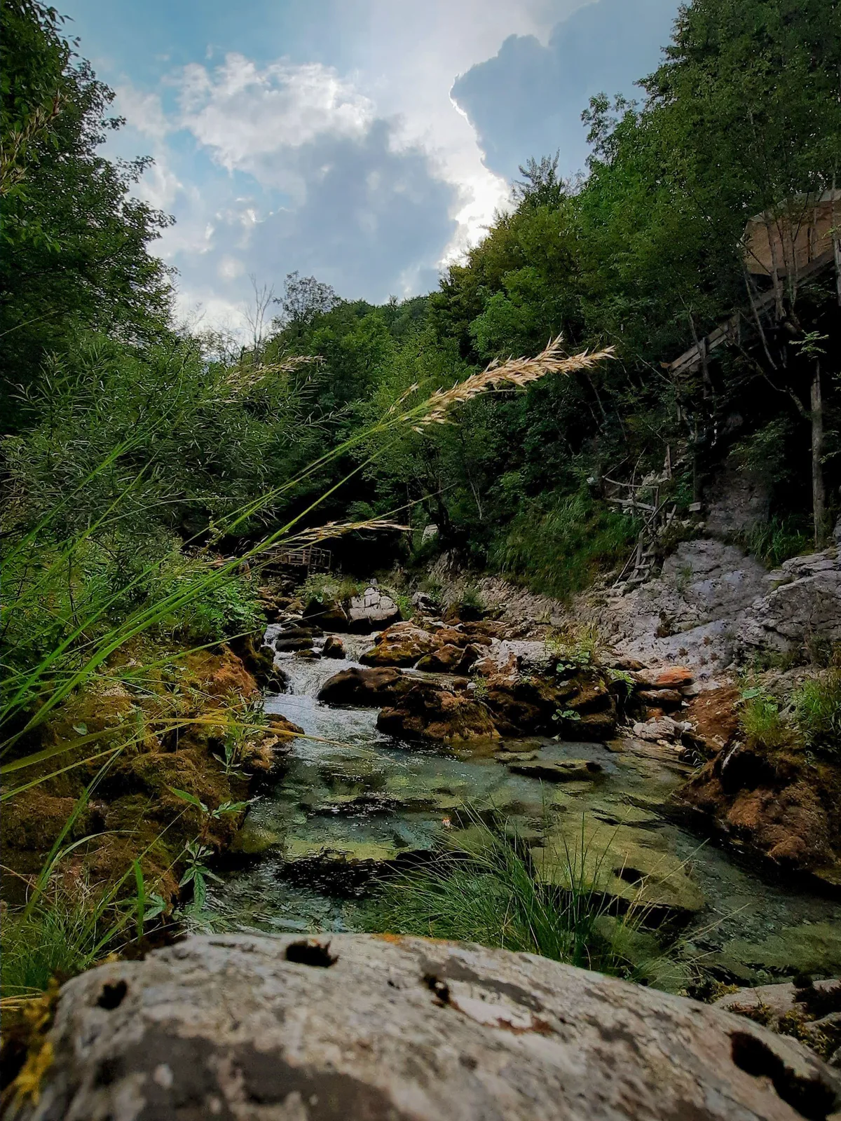 The Mountain Stream — Theth — Albania
