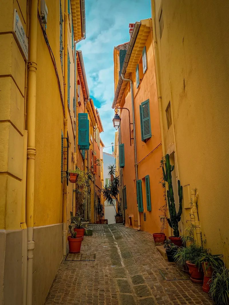 The Saffron Alley