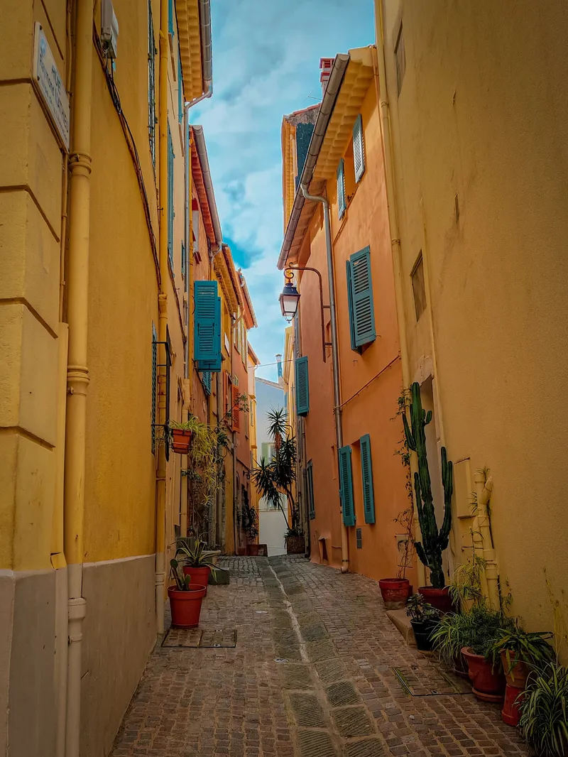 The Saffron Alley