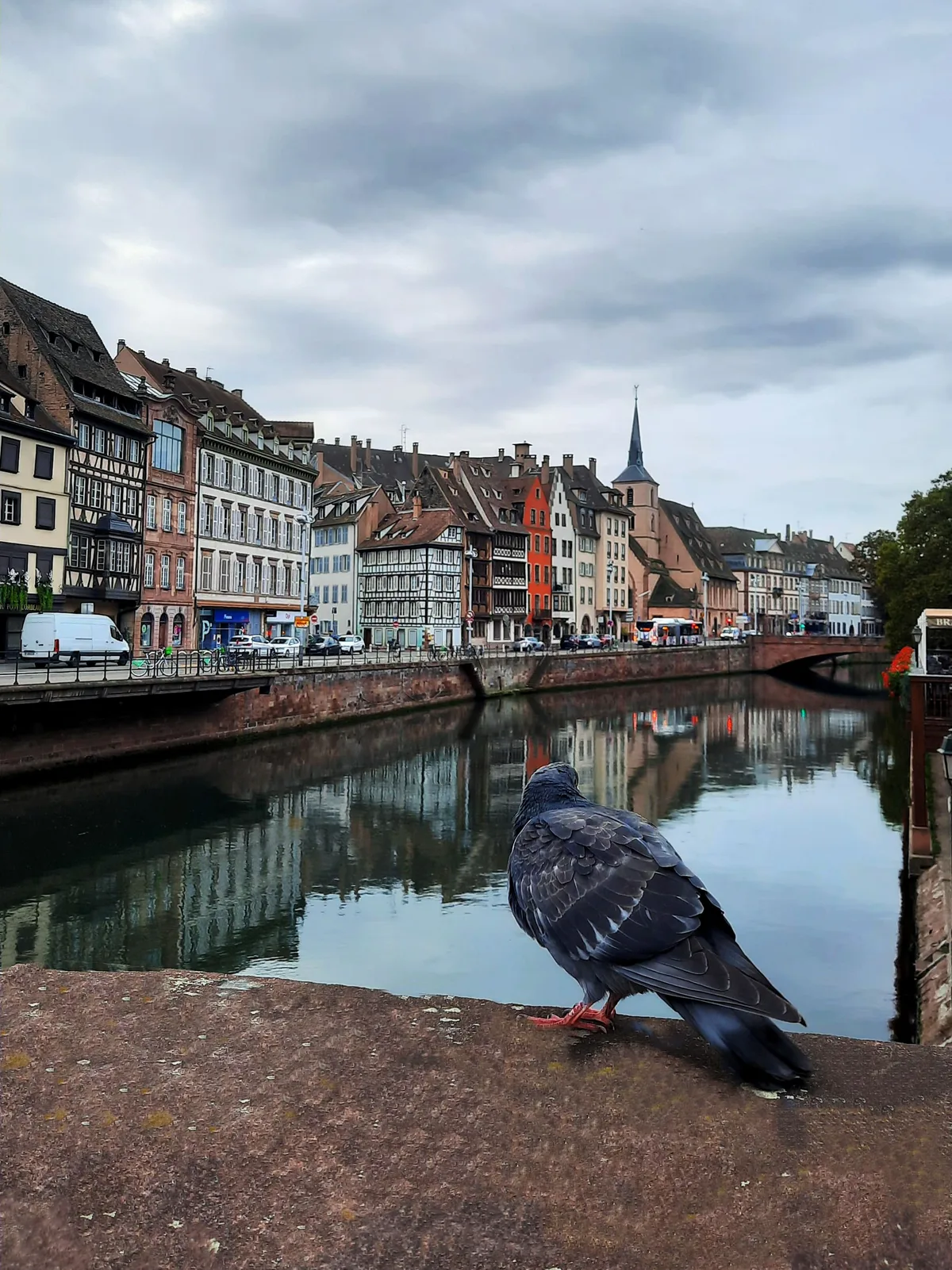 The Watchful Local — Strasbourg — France