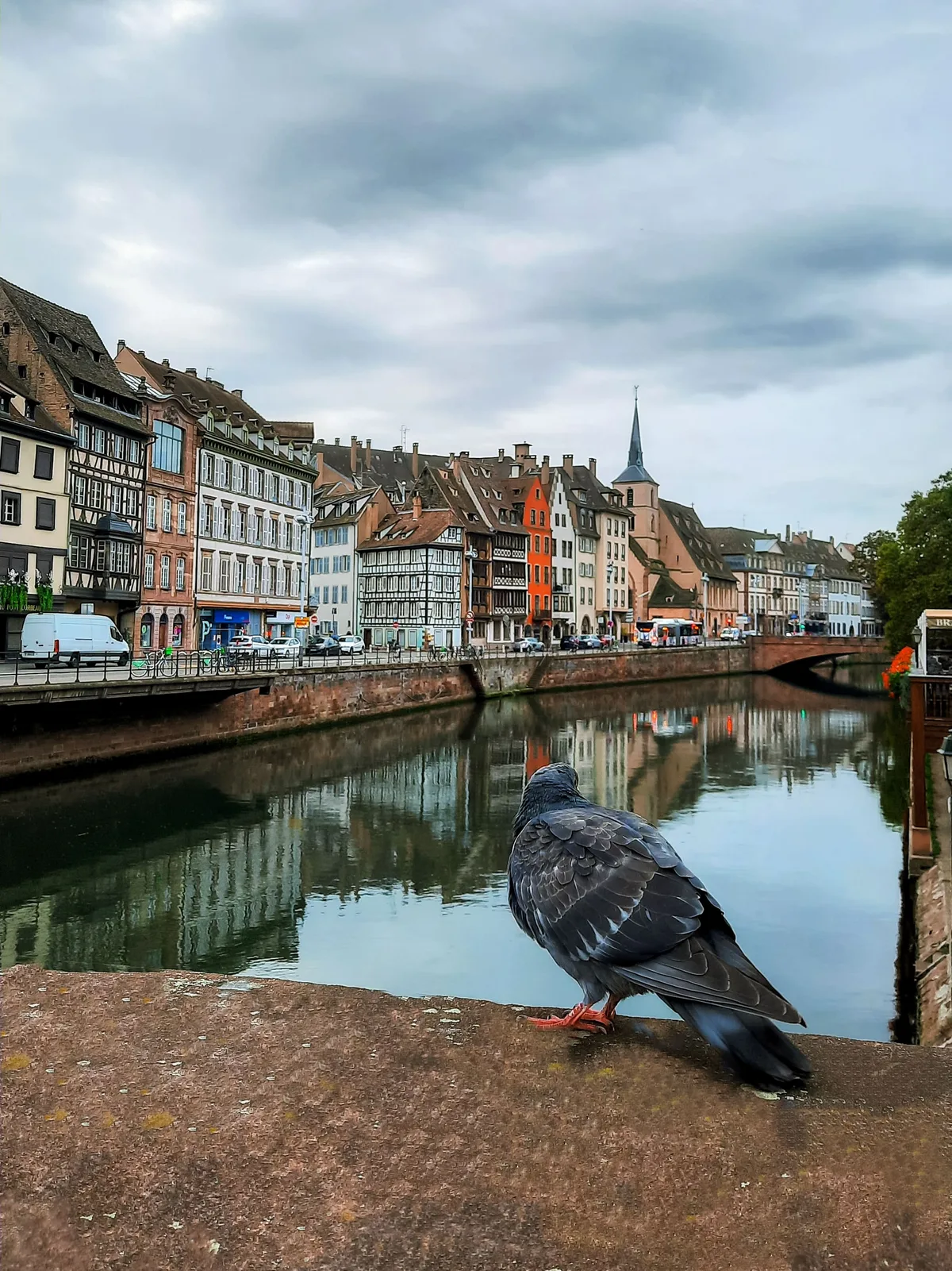 The Watchful Local — Strasbourg — France