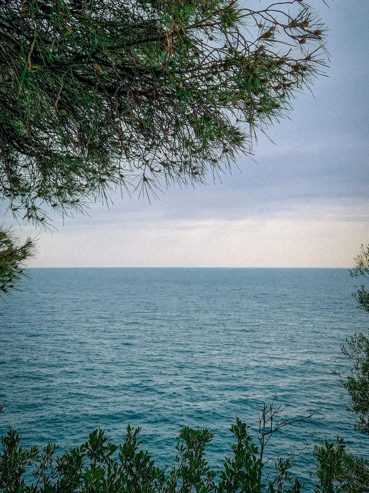 Through the Pines — Monaco — Monaco
