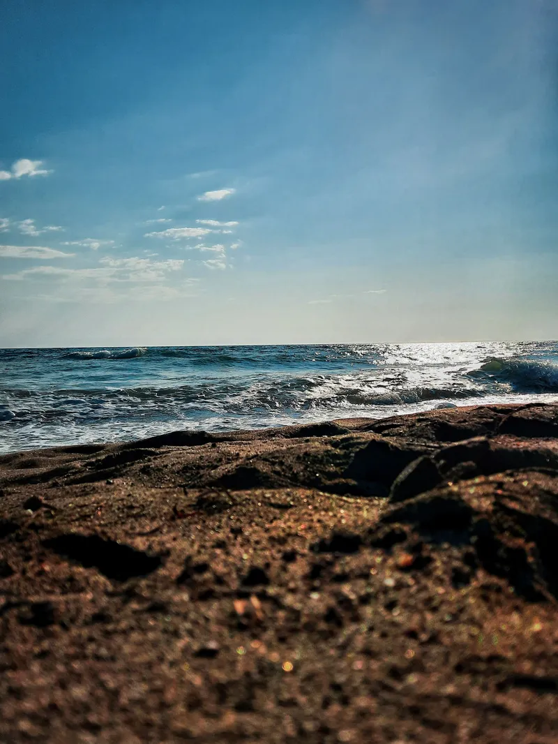 Where the Shore Begins