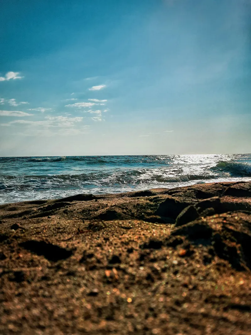 Where the Shore Begins